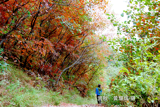 ����ʱ�� ��ɫ����